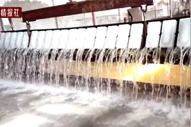 造冰日入20万！揭秘制冰厂是怎么制冰的，为什么这么赚钱视频封面