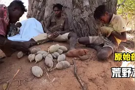哈扎比原始部落荒野求生，用野果榨油，特殊的树根烤着嚼视频封面