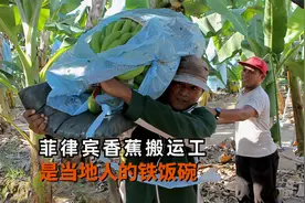 菲律宾香蕉搬运工，月薪3000比索干10个小时，当地人说这是铁饭碗视频封面