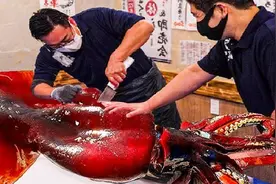 国外巨型鱿鱼切割过程，秘鲁飞鱿从宰杀切割到冷冻处理，了解一下视频封面