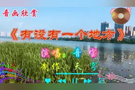 一首非常好听的伤感情歌《有没有一个地方》声声悦耳，句句入心。视频封面