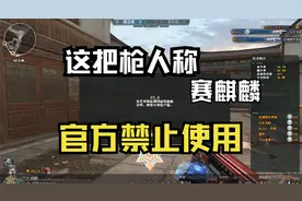 CF老兵才懂的枪 人称赛麒麟 谁的青春又跳动了！视频封面