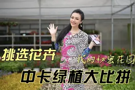 我的秘密花园，中卡绿植大比拼~视频封面