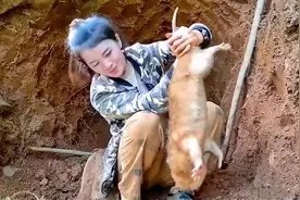 美女荒野求生，在竹林之上挖开土堆，捕捉极品竹鼠！视频封面