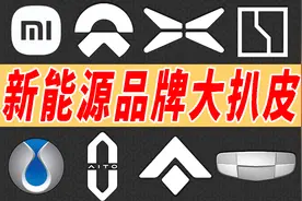 这些汽车logo你都认识么？深扒！新能源品牌由来，哪些值得买？