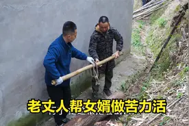 老丈人帮女婿做苦力活，只要每餐满足有肉吃，不谈工钱心里乐开花视频封面