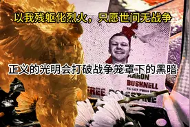 伟大的国际主义战士，亚伦布什内尔视频封面