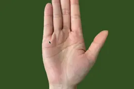 女人手相出现罕见的“子女线”视频封面