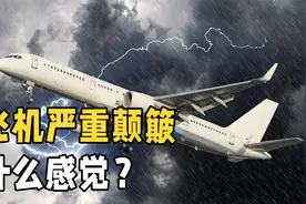 飞机颠簸是如何形成的？它会造成坠机事故吗？惊魂90秒给你答案视频封面