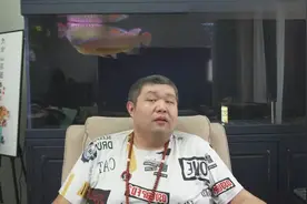 天天硬事4411下 加拉格尔蹿台毫无建树，双方各说各话视频封面
