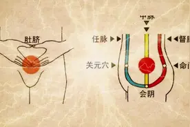 会阴一开，百穴开，激活它帮助我们通周天