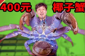到了原产国才知道，国内2000一只的椰子蟹，居然这么便宜视频封面