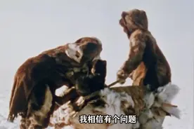 因纽特人家庭为啥有的只生一个娃，不是不能生，而是怕生视频封面