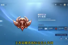 王者荣耀贵族标志怎么关闭？