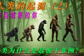 人类起源2 来自猩猩的你，为什么人类起源于非洲？视频封面