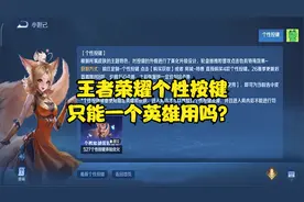 王者荣耀个性按键只能一个英雄用吗？