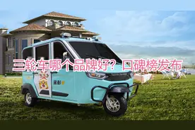 三轮车哪个品牌好？口碑榜发布，前5名一次介绍清楚，你选哪个？视频封面