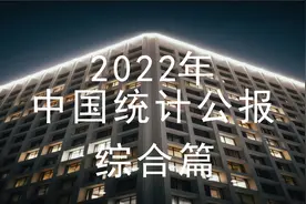 2022中国统计公报（综合篇）视频封面