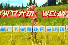 雷火立大功，WCL怂了，自己下架游戏内查询功能.视频封面