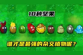 植物大战僵尸：10种坚果，谁更厉害？视频封面