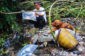 原始森林里的小溪很不对劲，水下难寻鱼影，想不到这里也惨遭毒手视频封面