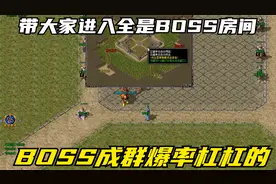 热血传奇：带大家进入全是BOSS房间，BOSS成群爆率杠杠的