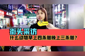街头采访，什么动物早上四条腿，晚上三条腿？视频封面