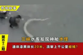 三峡水库发现神秘水怪，通体漆黑体长20米，流窜上千公里被捕？