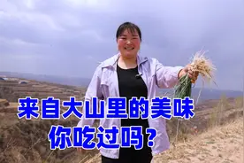 农村大山里的美味野小蒜，霞姐挖一筐做包子，好吃到停不下来！