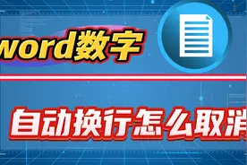 word数字自动换行怎么取消？段落设置教会你！视频封面