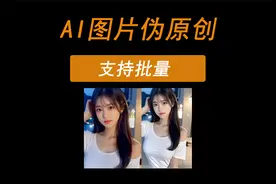 Ai图片批量伪原创，支持批量处理，自媒体必备工具