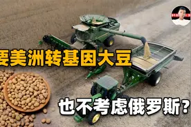 舍近求远？我国每年向美洲大量进口转基因大豆，却不考虑俄罗斯！视频封面