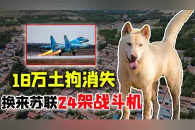 为何说我国空军发展，离不开18万只土狗英勇捐躯？这3省功不可没视频封面