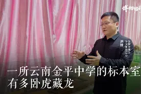 云南金平一所中学的生物标本室，竟藏有博物馆都难得一见的标本？