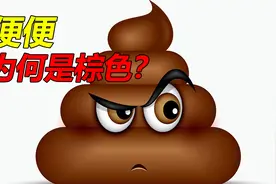 你拉出来的便便，为何总是棕色的，还特别臭？视频封面
