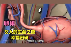 卵巢 || 女人的幸福密码，生命之源