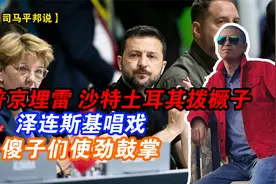 普京埋雷，沙特士耳其拔橛子，泽连斯基唱戏，傻子们使劲鼓掌视频封面