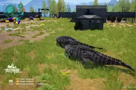 ⑤恐龙岛吞噬进化，这游戏没点智商还玩不了，全是老六啊，先进化