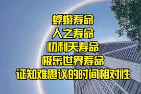 蜉蝣寿命人的寿命忉利天寿命极乐世界寿命证知难思议的时间相对性视频封面