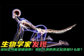 生物学家发现：进化论可能是错误的，我们人类真正的起源是什么？