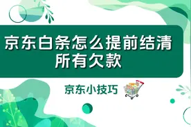 京东白条用户必看！提前还清所有欠款的快速通道