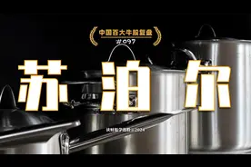 苏泊尔，中国领先的炊具、厨房小家电供应商