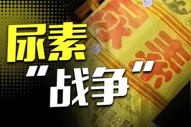 价格暴涨10多倍还没货！尿素是如何影响世界的？