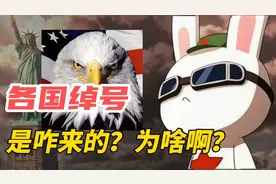 中国为啥叫兔子？美国为啥叫鹰酱？日本为啥叫脚盆鸡？视频封面
