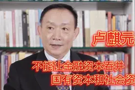 卢麒元-不能让金融资本大规模吞并国有资本和社会资本。视频封面