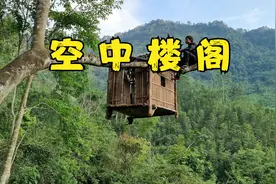 爷青回！小时候梦想的树屋，他真的建成了！