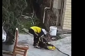 近日，光天化日下一名男孩当街拖走一名小女孩，疑似进行猥亵视频封面