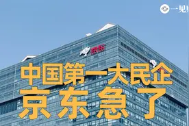 “中国第一大民企”京东急了视频封面