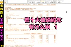 看十大流通股东有什么用1视频封面