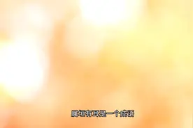 202410405属垣有耳视频封面